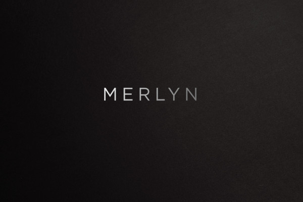 Cover image: Merlyn Branding