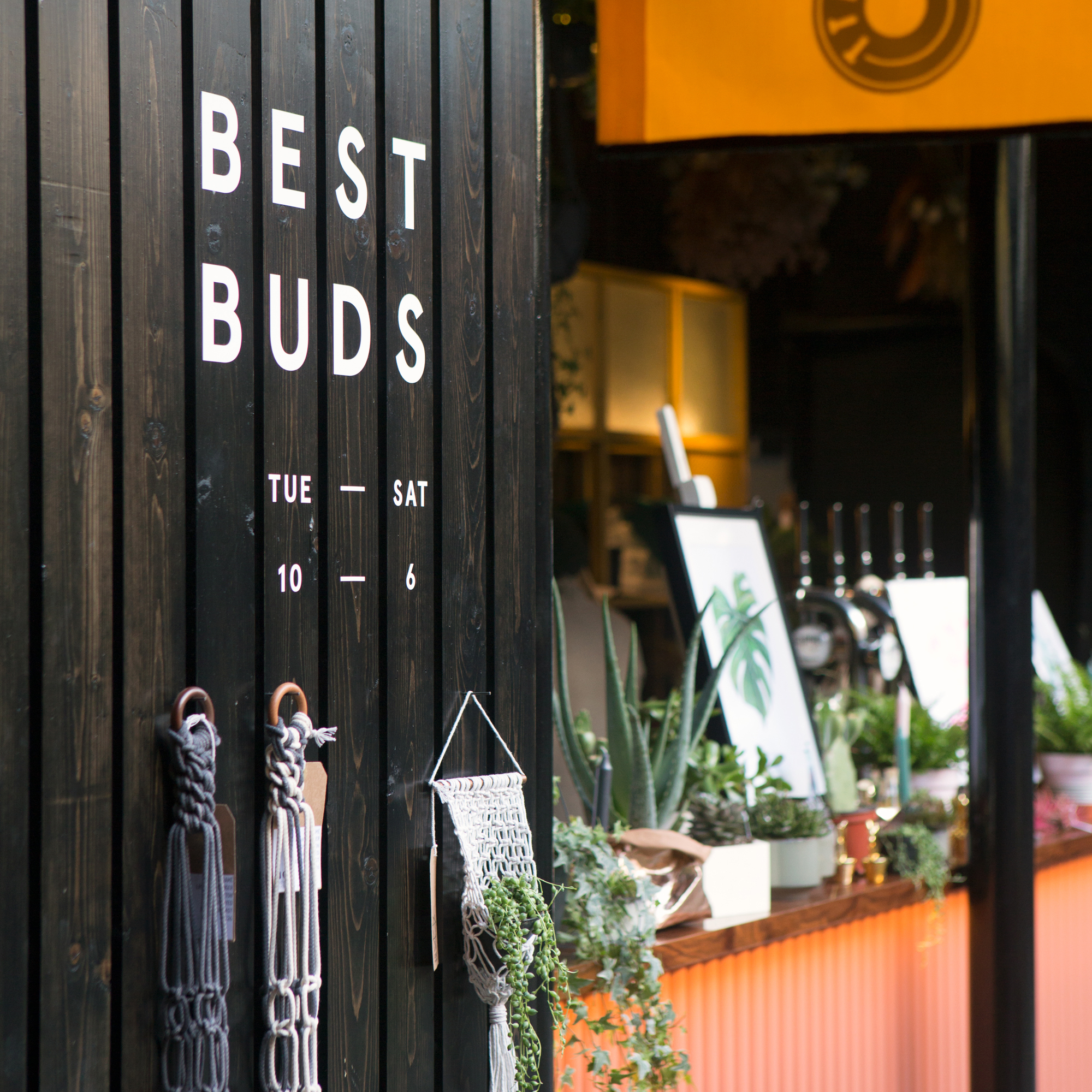 Cover image: Best Buds Belfast