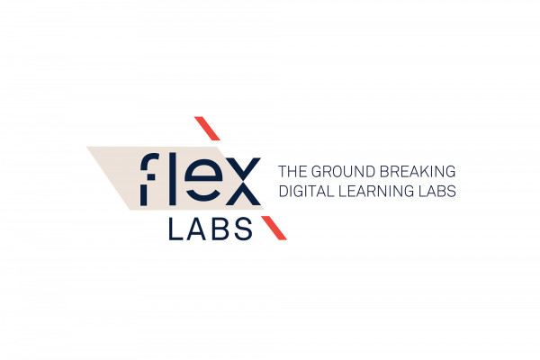 Cover image: FLEX LABS BRAND STRATEGY / NAME GENERATION / BRAND IDENTITY SYSTEM