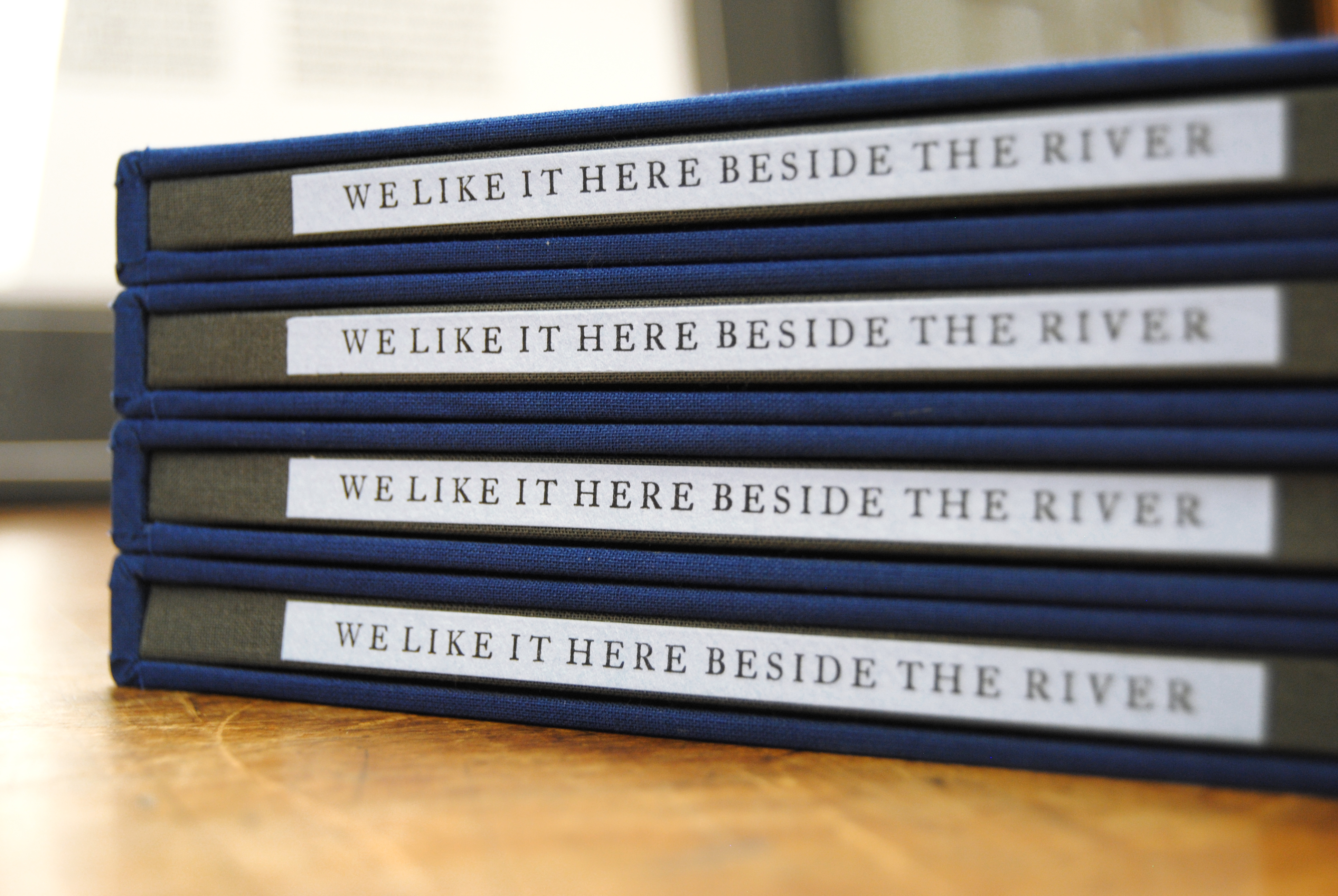 Cover image: We Like It Here Beside The River (2014)