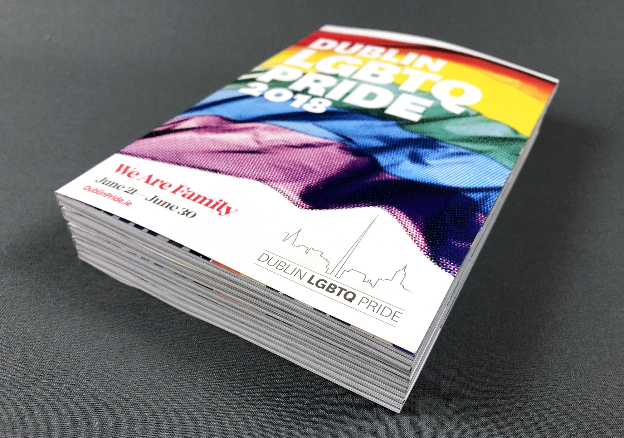 Cover image: Dublin Pride Guide: We Are Family