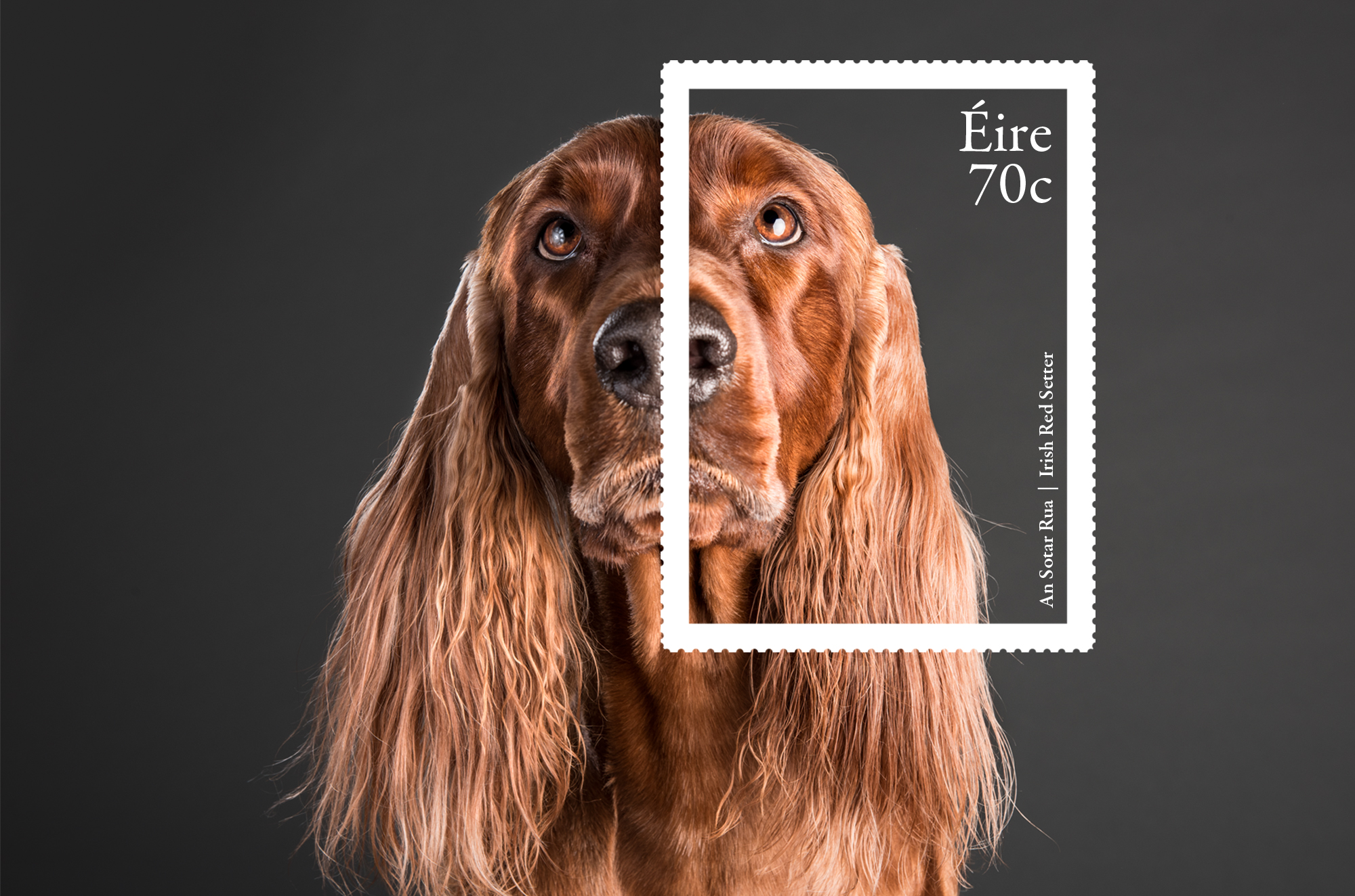 Cover image: Irish Dog Breeds Stamps