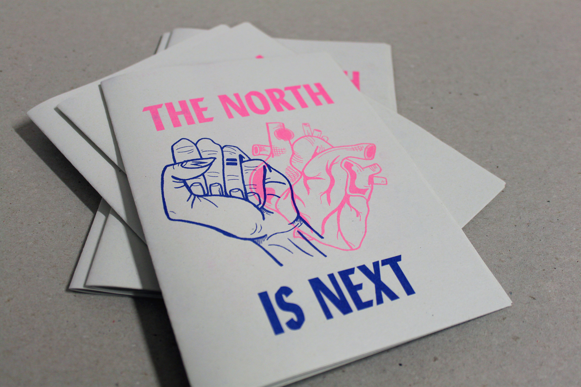 Cover image: The North is Next