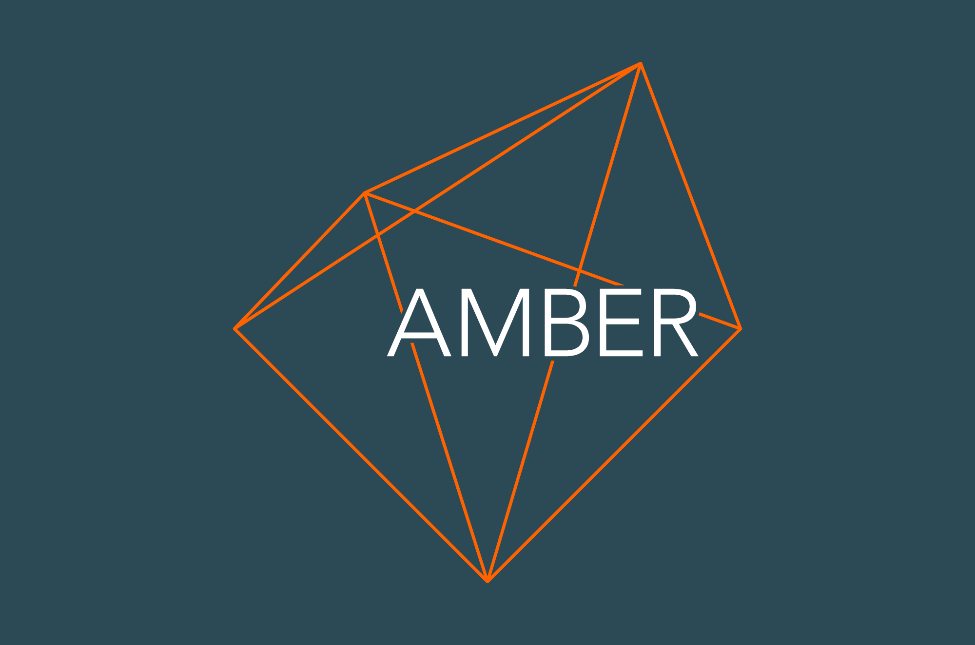 Cover image: Amber Identity (2013)