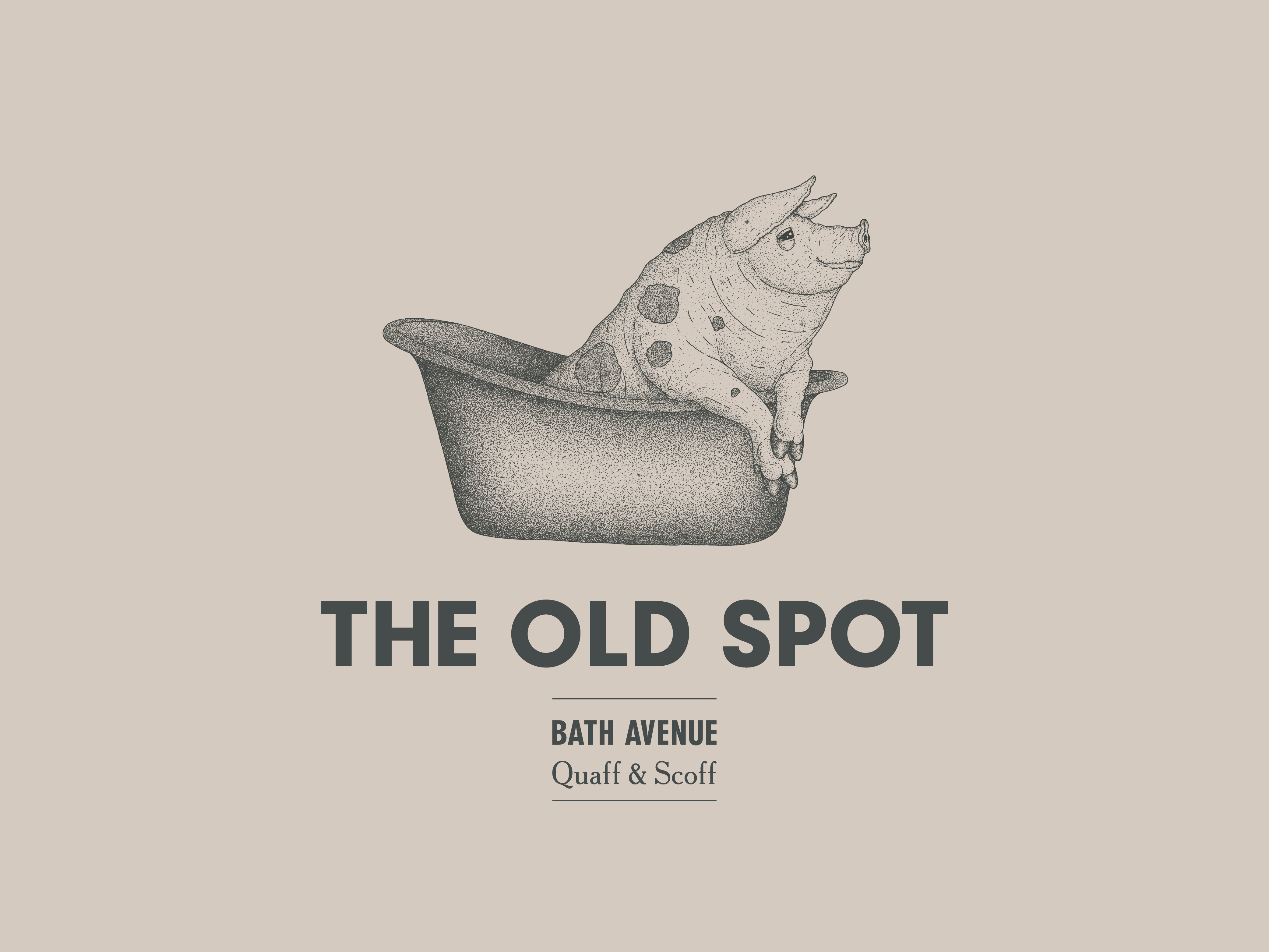 Cover image: The Old Spot (2014)