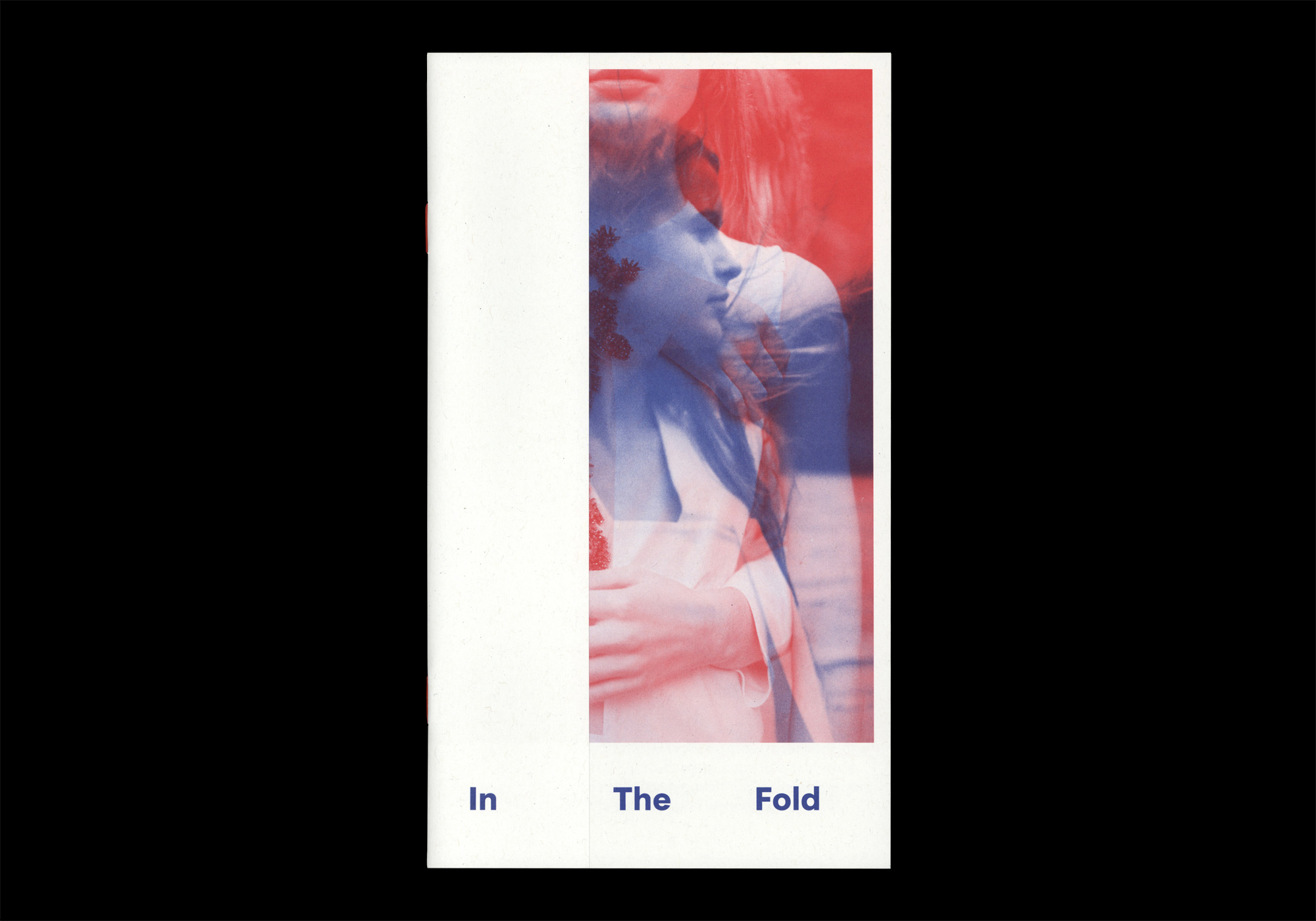 Cover image: In The Fold (2015)