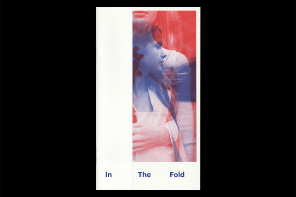 Cover image: In The Fold (2015)