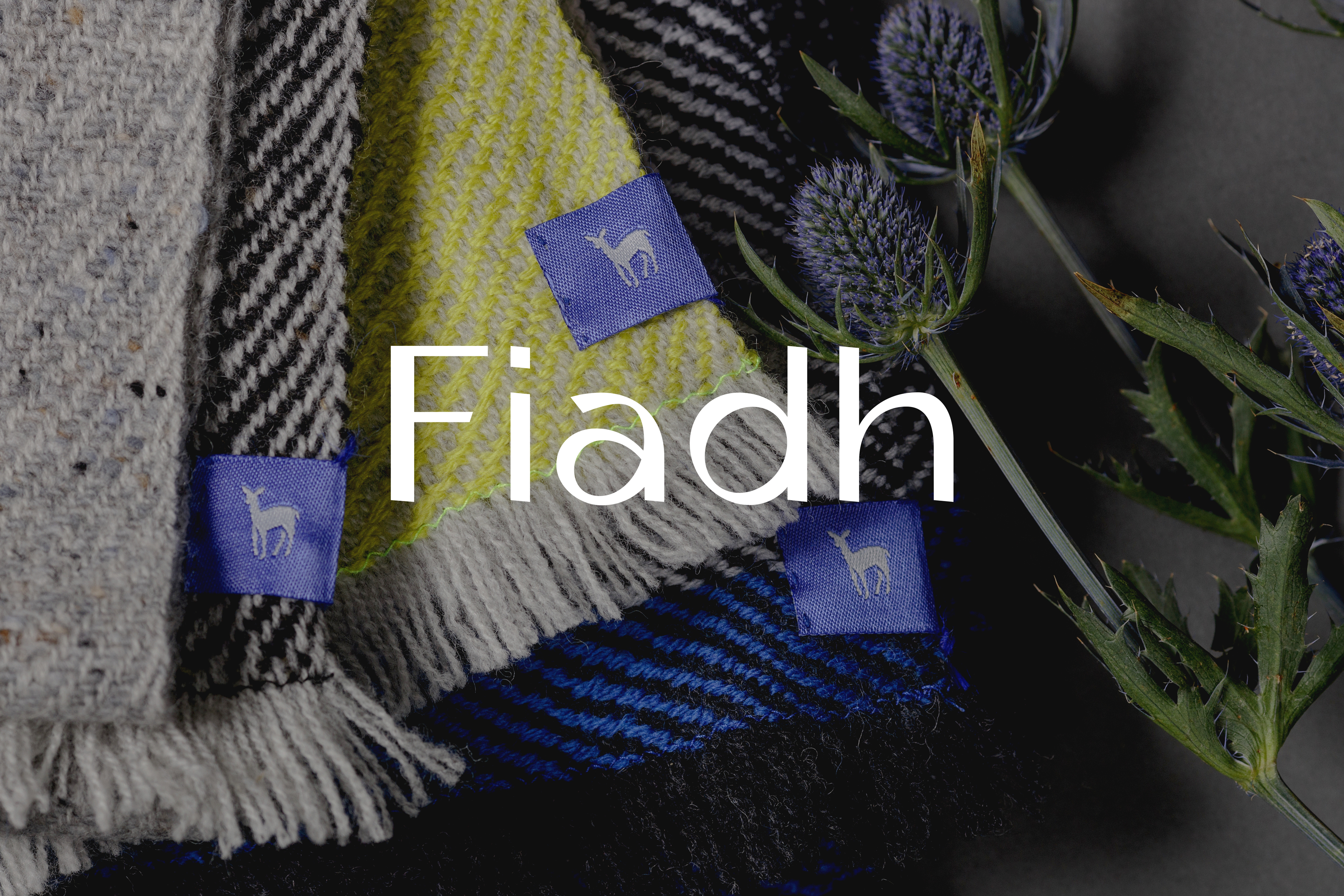 Cover image: Fiadh