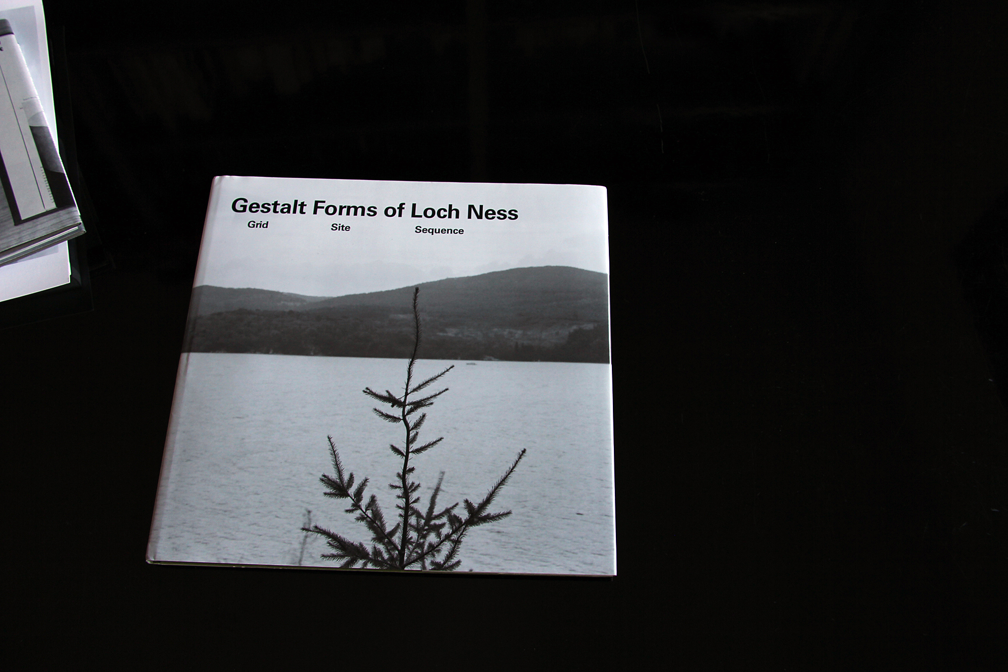 Cover image: Gestalt forms of Loch Ness: grid site sequence (2012)