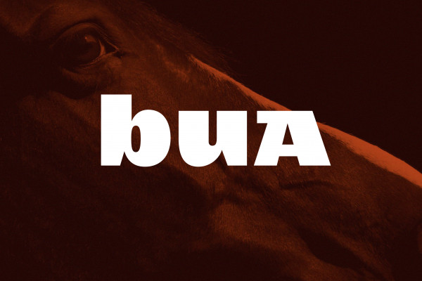 Cover image: Bua Saddles – Identity