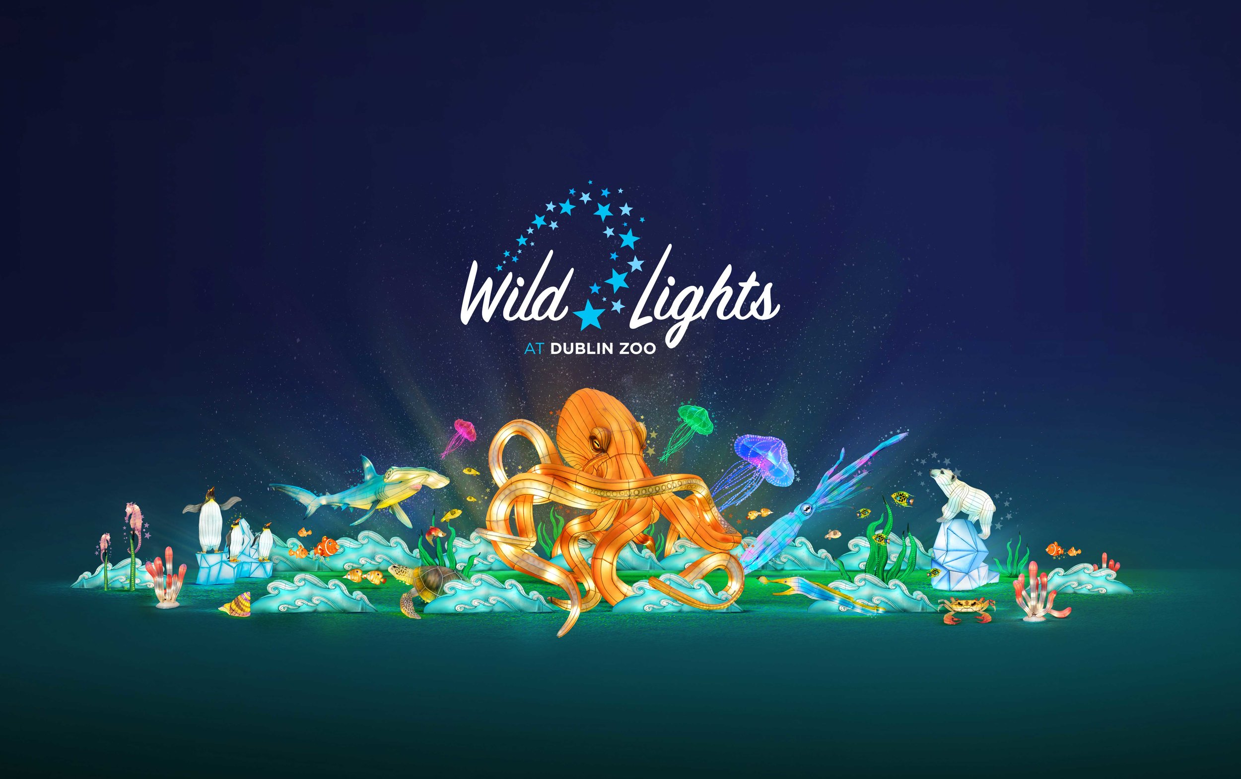 Cover image: Wild Lights