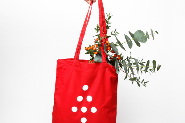 Cover image: Áras Christmas Tote