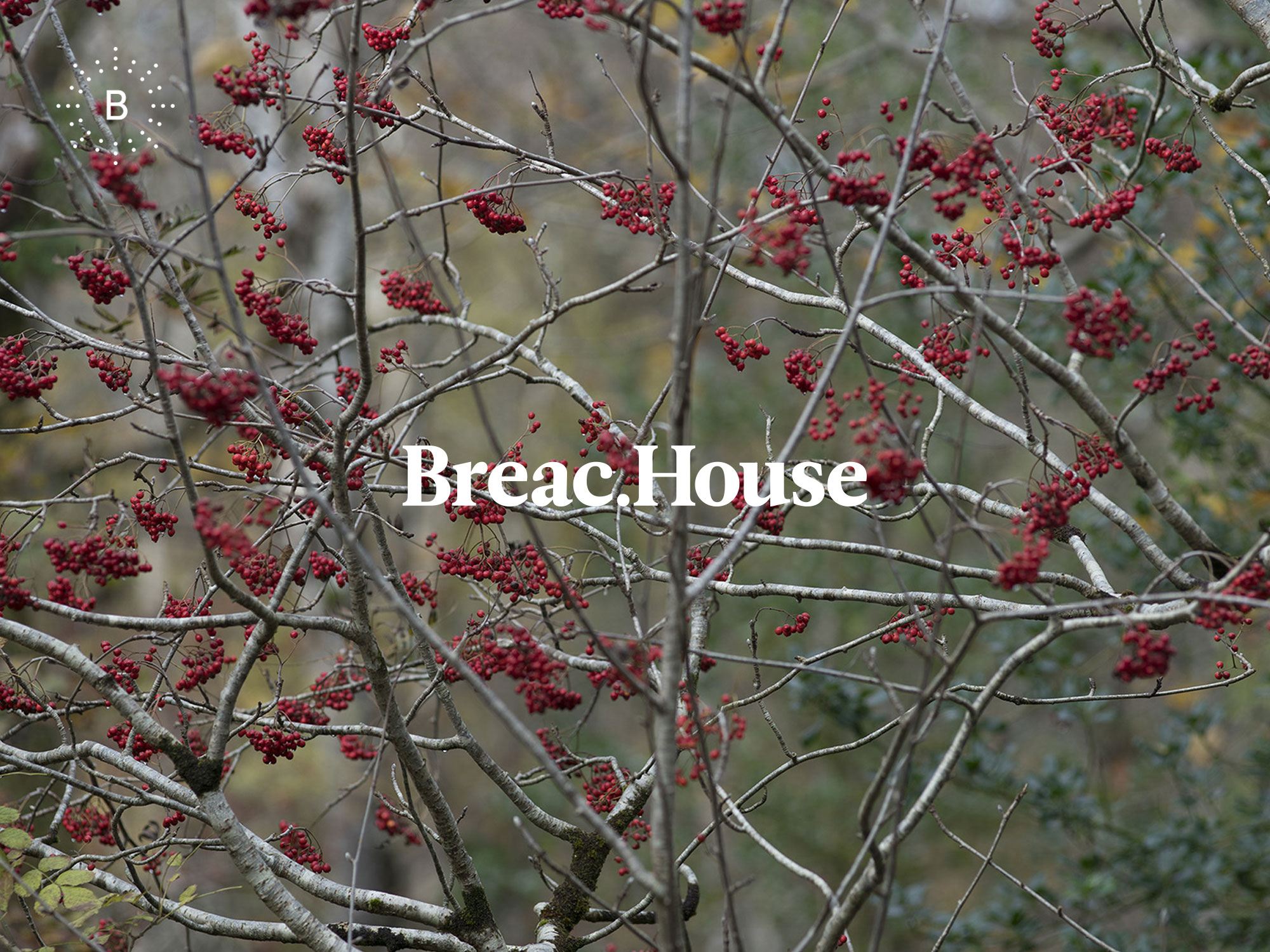 Cover image: Breac.House