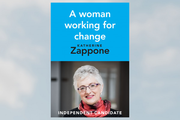 Cover image: Vote Zappone