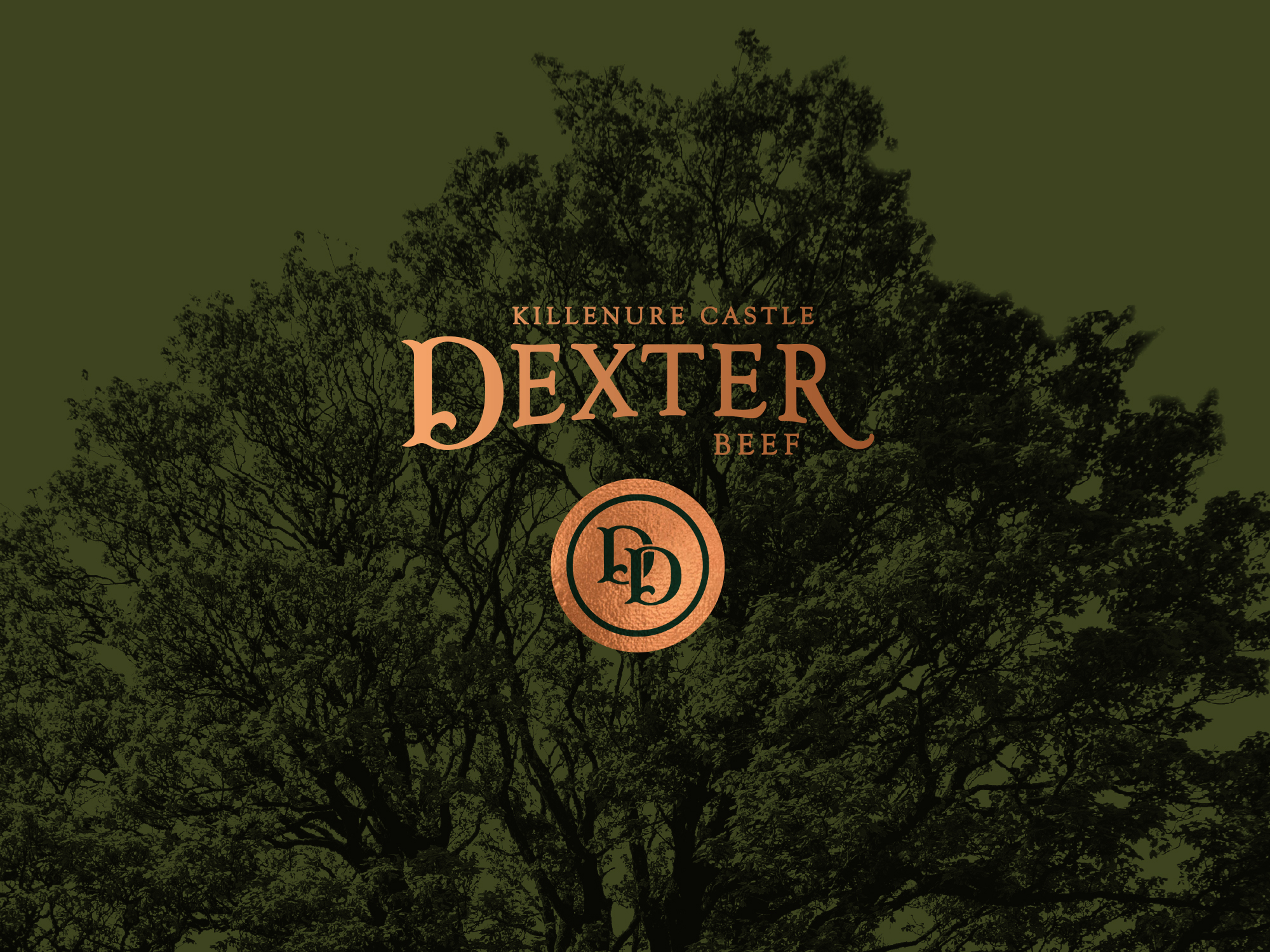 Cover image: Dundrum Dexter Charcuterie by Killenure Castle