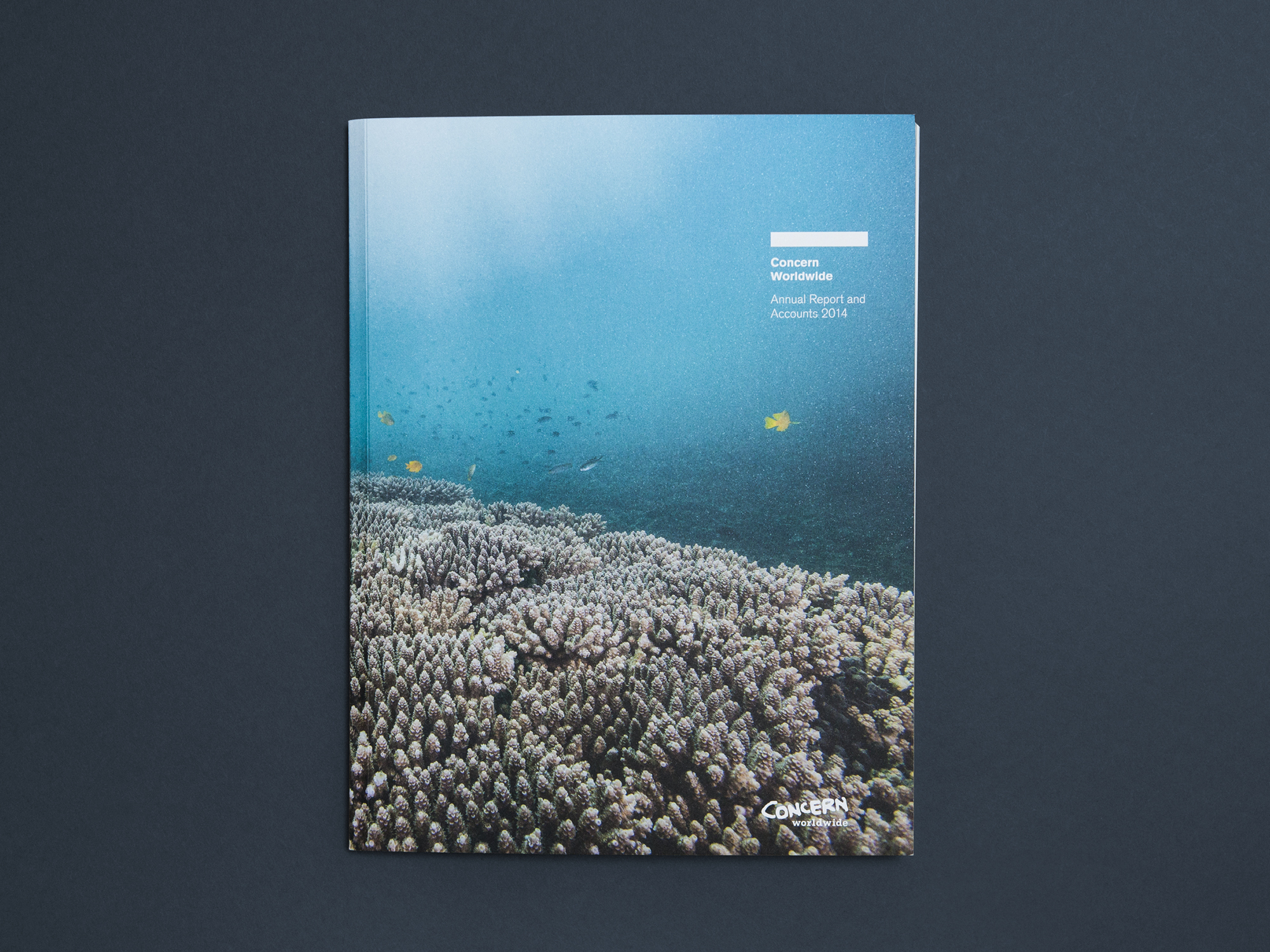 Cover image: Concern Worldwide Annual Report 2014 (2015)