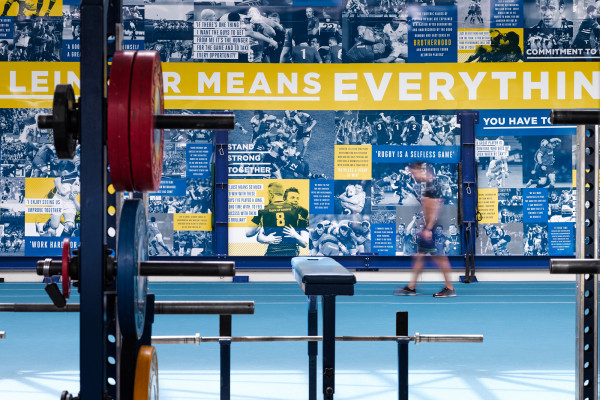 Cover image: Leinster Training Ground Wall